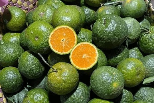 Cam Sành Tươi Quỳnh Như